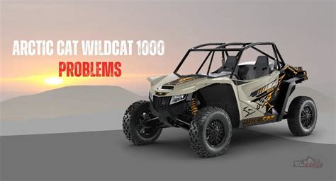 Moab has a wide variety of obstacles and terrain types, including sand dunes and fast. . Arctic cat wildcat 1000 problems